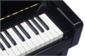 Medeli UP805 Цифровое пианино, черное 7003 - фото 34791