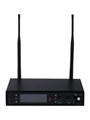 Prodipe DSP-DUO-UHF-M850/F5 Беспроводная микрофонная система, 2 ручных передатчика 7082 - фото 35266