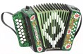 Шуйская гармонь S20XL-C-GR Гармонь "Ромашка" 15х12-I, зеленая, палехская роспись