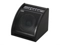 Soundking DS50 Монитор для электронной ударной установки, 50Вт