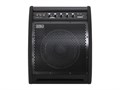Soundking DS50 Монитор для электронной ударной установки, 50Вт 7230 - фото 35913