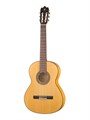 Alhambra 8.206 Flamenco Student 3F Классическая гитара, защитная накладка
