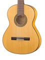 Alhambra 8.206 Flamenco Student 3F Классическая гитара, защитная накладка 7260 - фото 36259