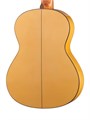 Alhambra 8.206 Flamenco Student 3F Классическая гитара, защитная накладка 7260 - фото 36262