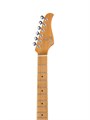 GTRS S801-Standard-801-GD Электрогитара с встроенным процессором, золотистая с чехлом 7319 - фото 36570