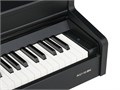 Aurora AU110-BK Цифровое пианино, черное 7353 - фото 36689