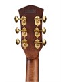 Cort Gold-DC6-WCASE-NAT - электроакустическая гитара с чехлом 7381 - фото 36859