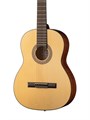 Hora N1010-7 (S1010-7) Spanish 7 Классическая 7-струнная гитара 7421 - фото 37050