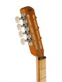 Doff RG “Russian Guitar” Гитара акустическая, 7-ми струнная 7422 - фото 37061