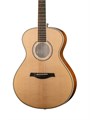 Parkwood P680-WCASE-NAT Акустическая гитара, цвет натуральный, с футляром 7441 - фото 37188