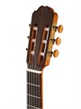 Kremona R65CW-TL Performer Series Rondo Классическая гитара, со звукоснимателем 7625 - фото 38621